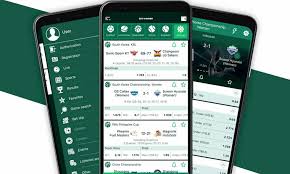 BetWinner in Ukraine A Comprehensive Guide to Online Betting -849000011