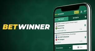 BetWinner Registration Your Complete Guide to Easy Signup
