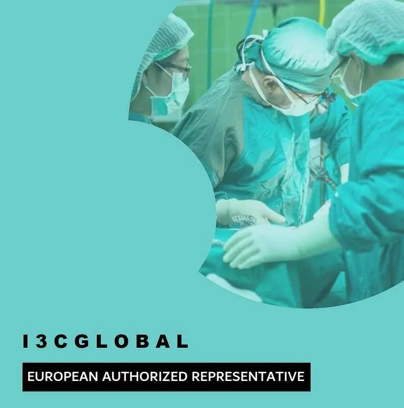European Authorized Representative