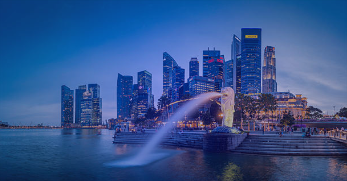Singapore Citizenship application